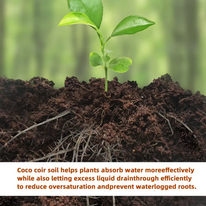 🔥LAST DAY 60% OFF🌱 Premium Organic Coconut Coir Bricks For Plants