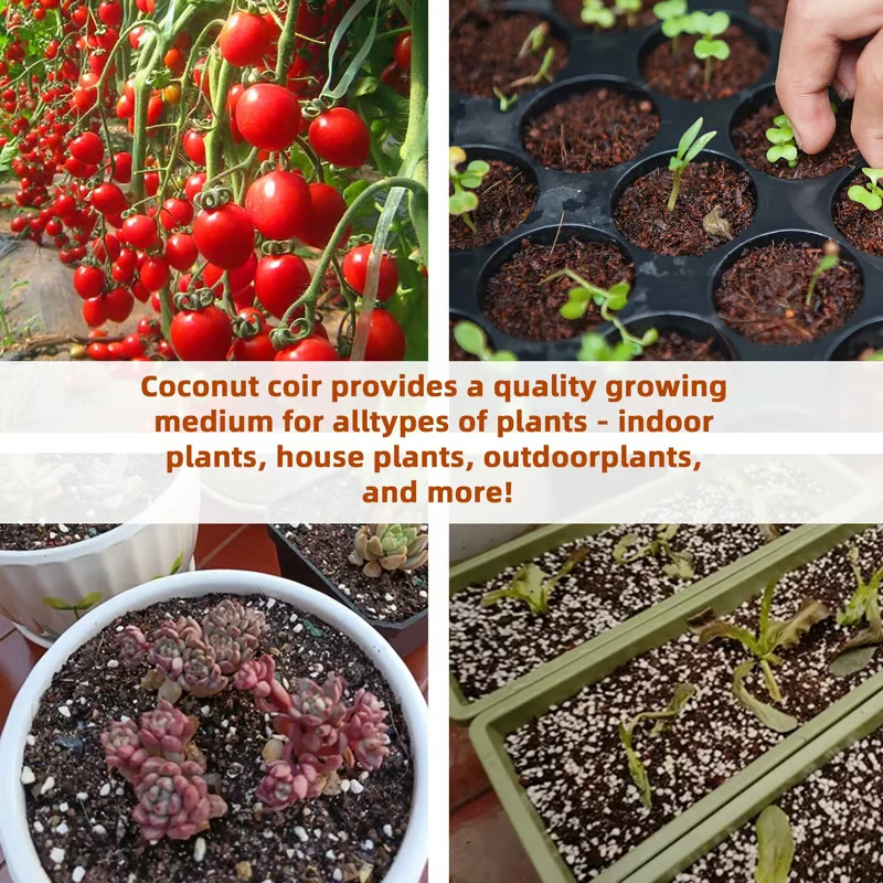 🔥LAST DAY 60% OFF🌱 Premium Organic Coconut Coir Bricks For Plants