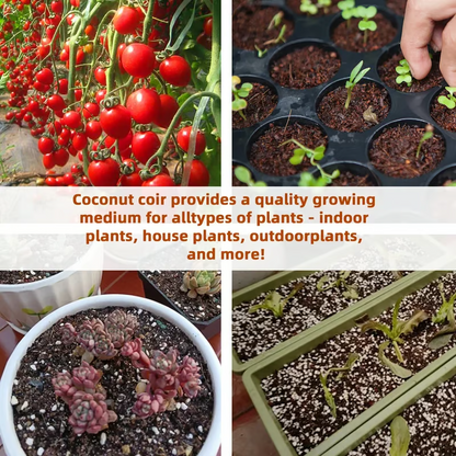 🔥LAST DAY 60% OFF🌱 Premium Organic Coconut Coir Bricks For Plants