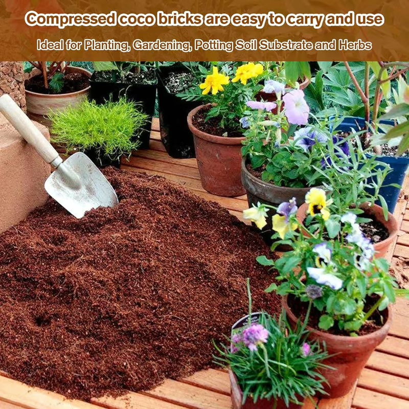 🔥LAST DAY 60% OFF🌱 Premium Organic Coconut Coir Bricks For Plants