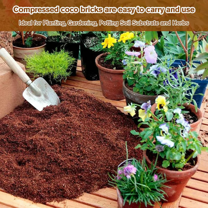 🔥LAST DAY 60% OFF🌱 Premium Organic Coconut Coir Bricks For Plants