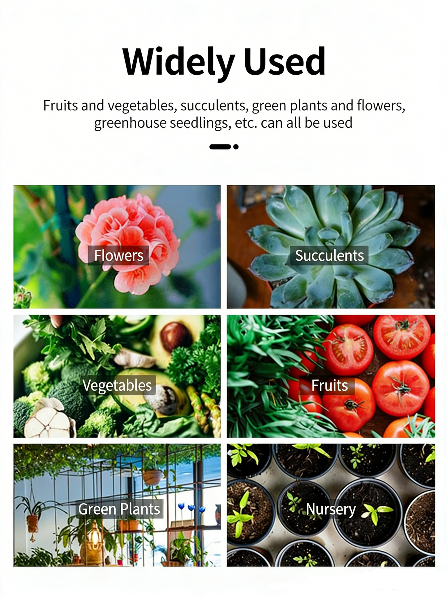 Vegetable and succulent planting coconut coir nutrient soil nutrient blocks compressed pure coconut coir