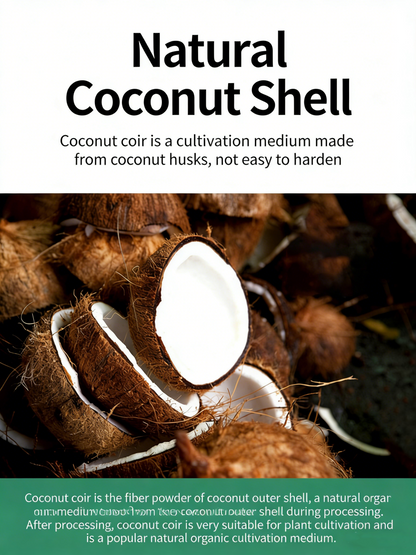 Vegetable and succulent planting coconut coir nutrient soil nutrient blocks compressed pure coconut coir