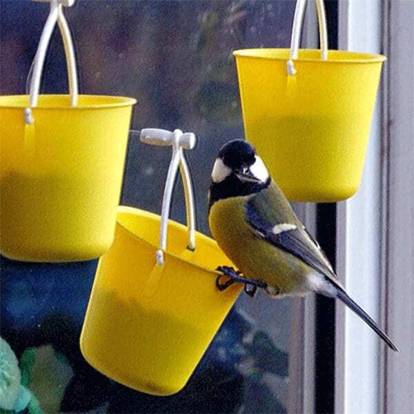 Whimsical Bird Entertainment