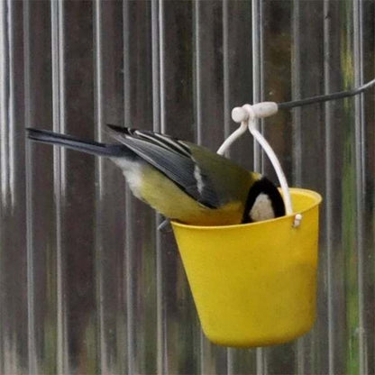 Whimsical Bird Entertainment